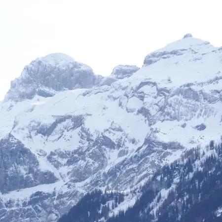 Résidence 42 * Lenk